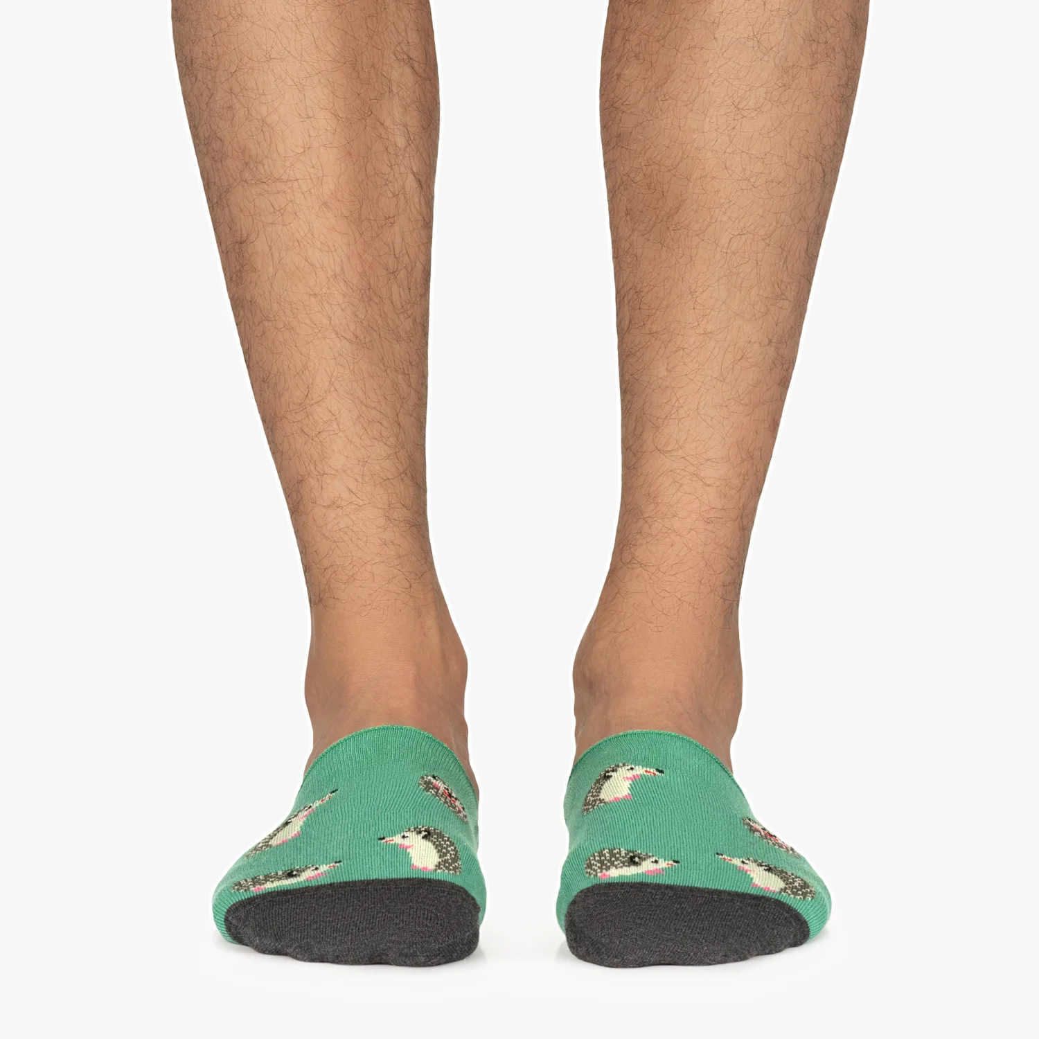 Hedgehog No Show - Turquoise - Image 2