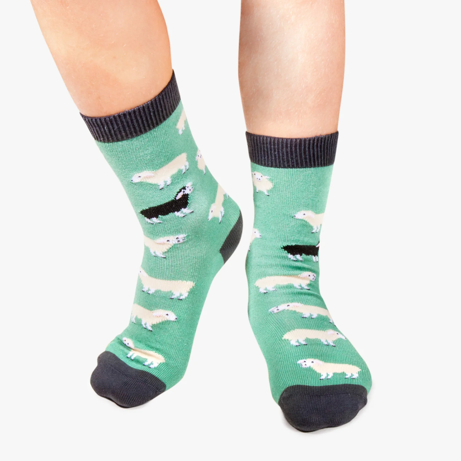 Kids Black Sheep - Turquoise - Image 2