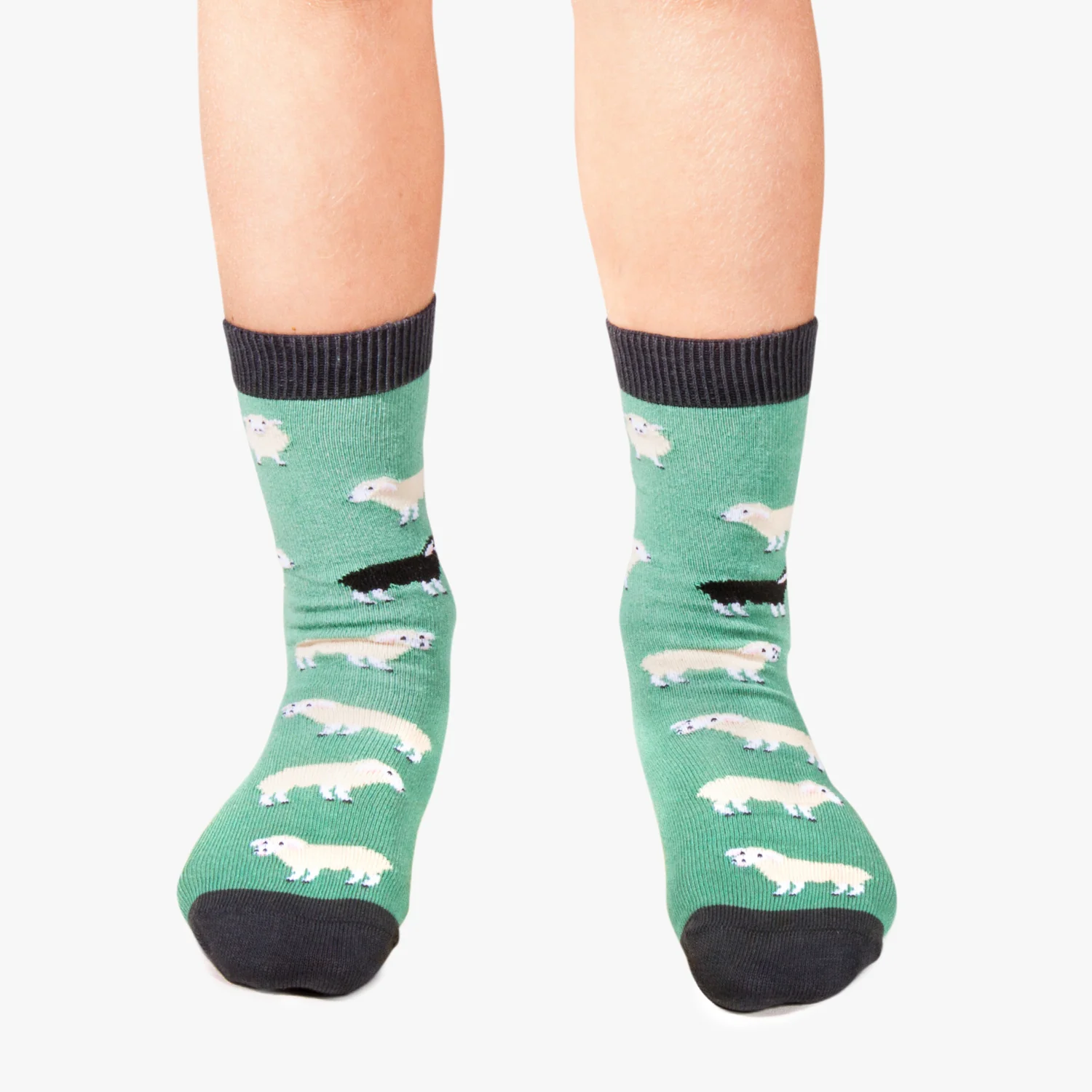 Kids Black Sheep - Turquoise - Image 3