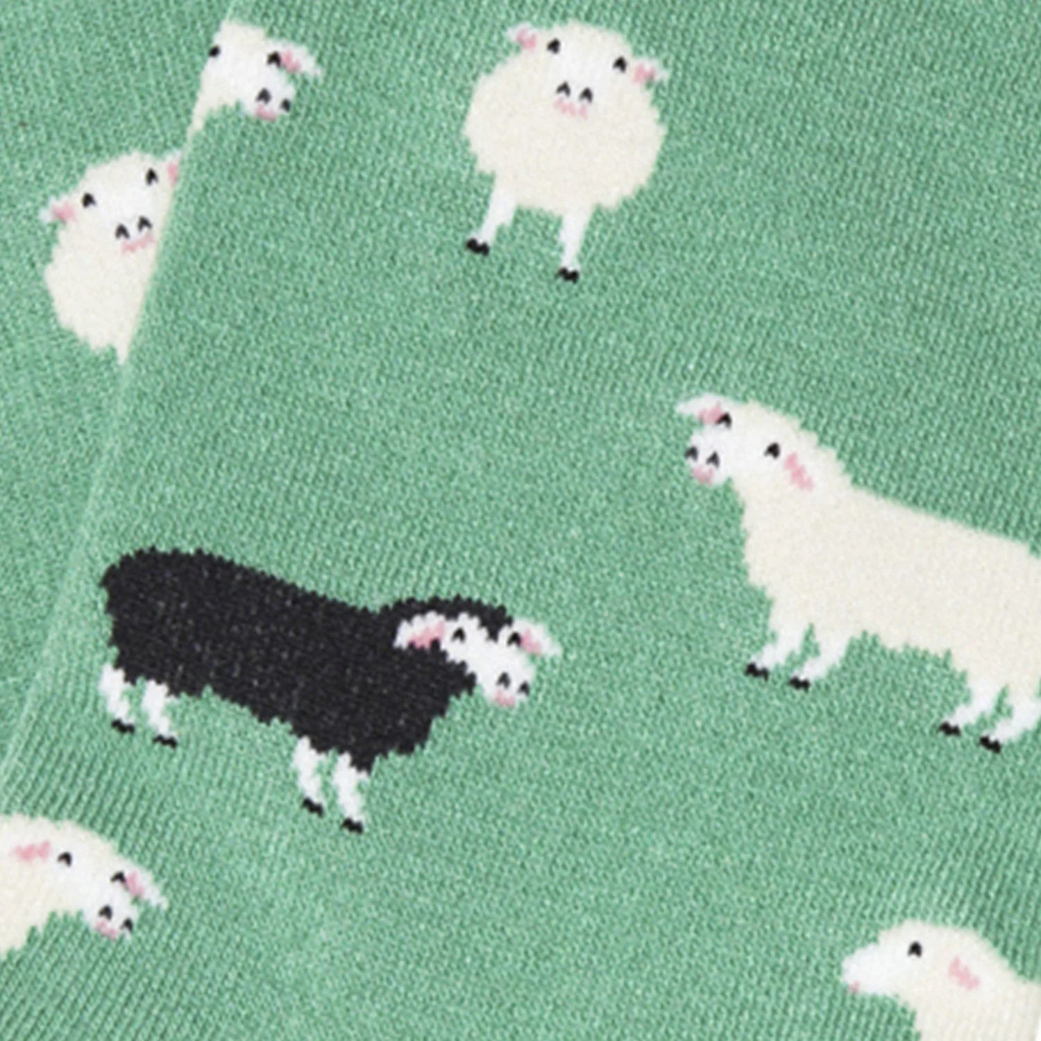 Kids Black Sheep - Turquoise - Image 4