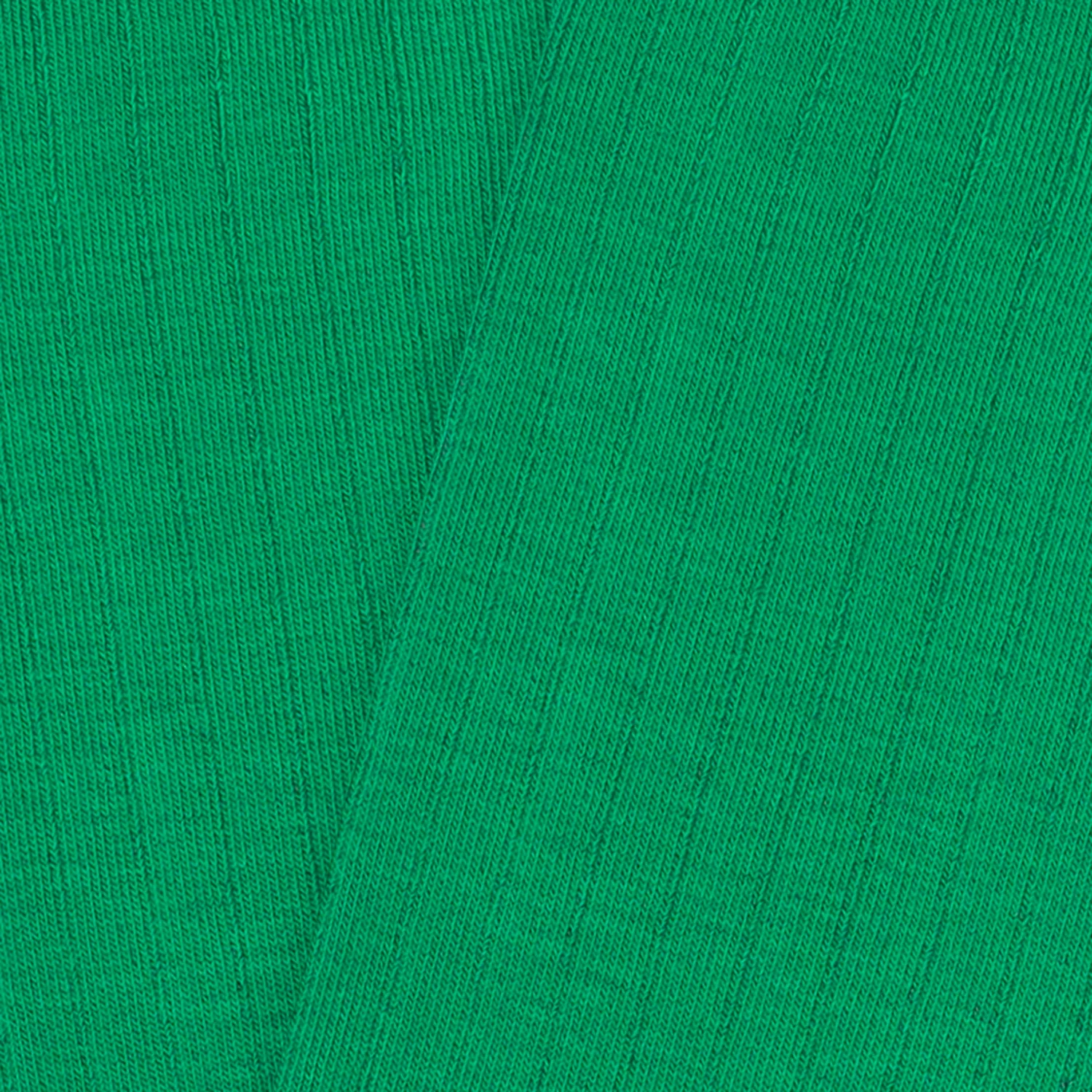 Ribbed - Green - Image 4